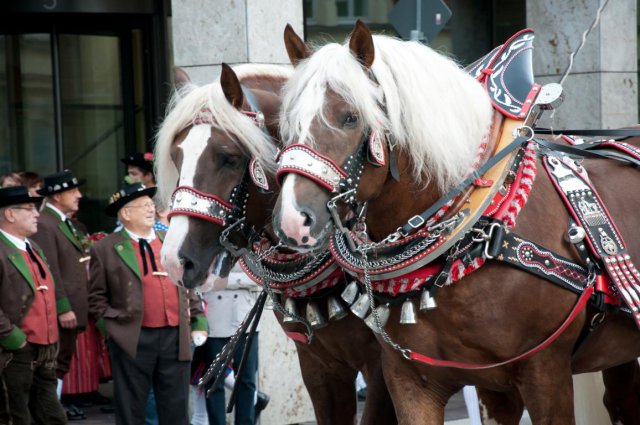 2013_Oktoberfest
